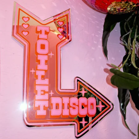 Toilet Disco Mirror